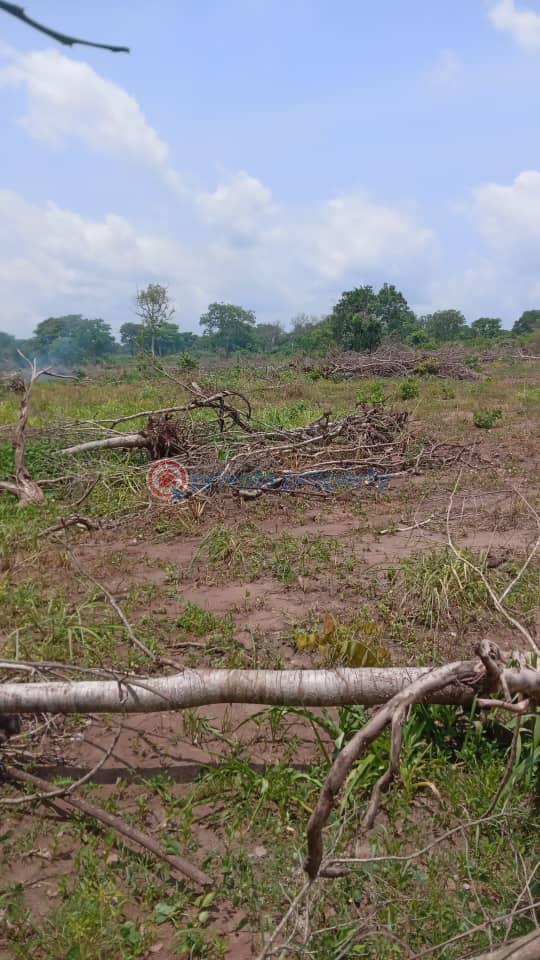Mixed use Land For Sale Koforidua Eastern Region - 0