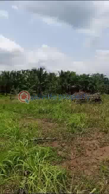 Mixed use Land For Sale Koforidua Eastern Region - 3