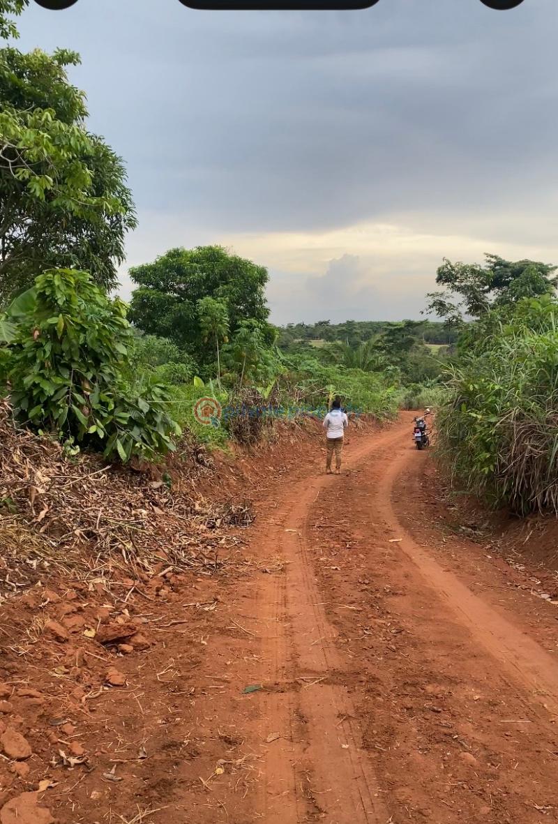 Land For Sale Bepoase Akuapim North Eastern Region - 2