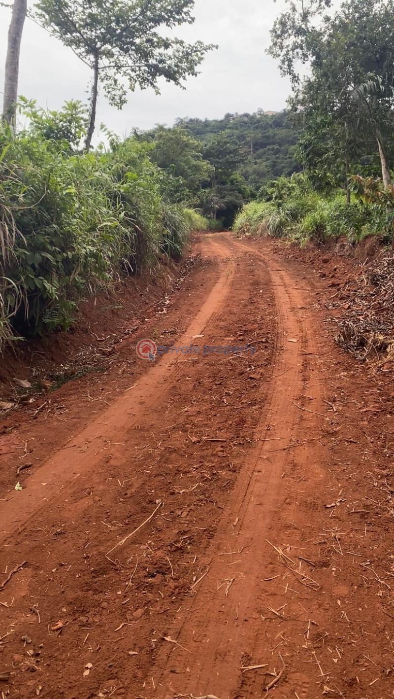 Land For Sale Bepoase Akuapim North Eastern Region - 1