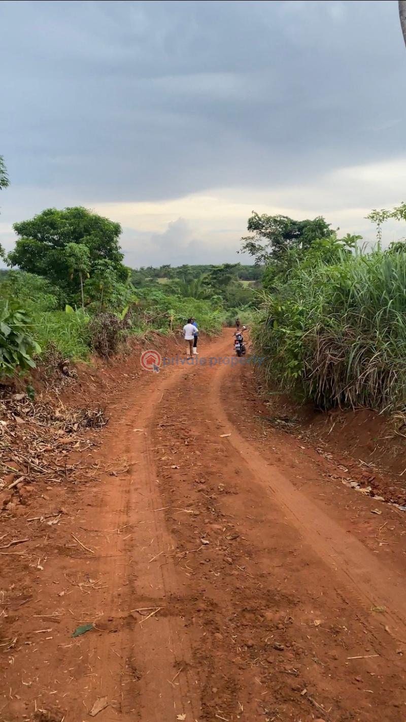 Land For Sale Bepoase Akuapim North Eastern Region - 0