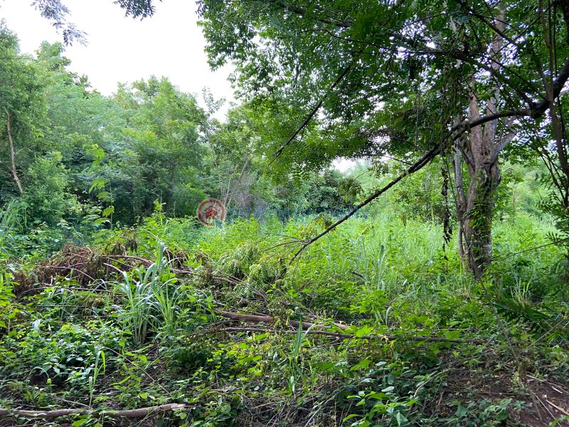 Land For Sale Aboasa Near Asuogyaman District Hospital Asuogyaman Eastern Region - 3