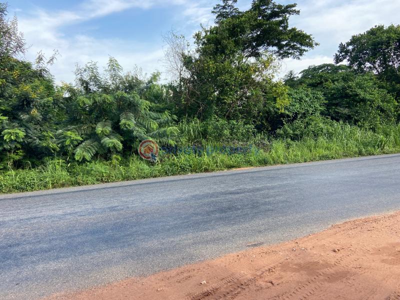Land For Sale Aboasa Near Asuogyaman District Hospital Asuogyaman Eastern Region - 4
