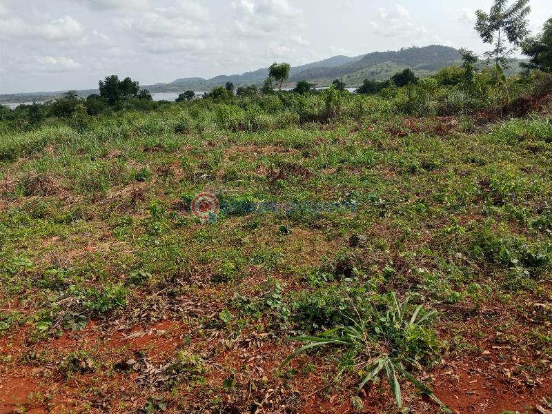 Land For Sale Between Winneba And Apam Effutu Municipal Central Region - 1