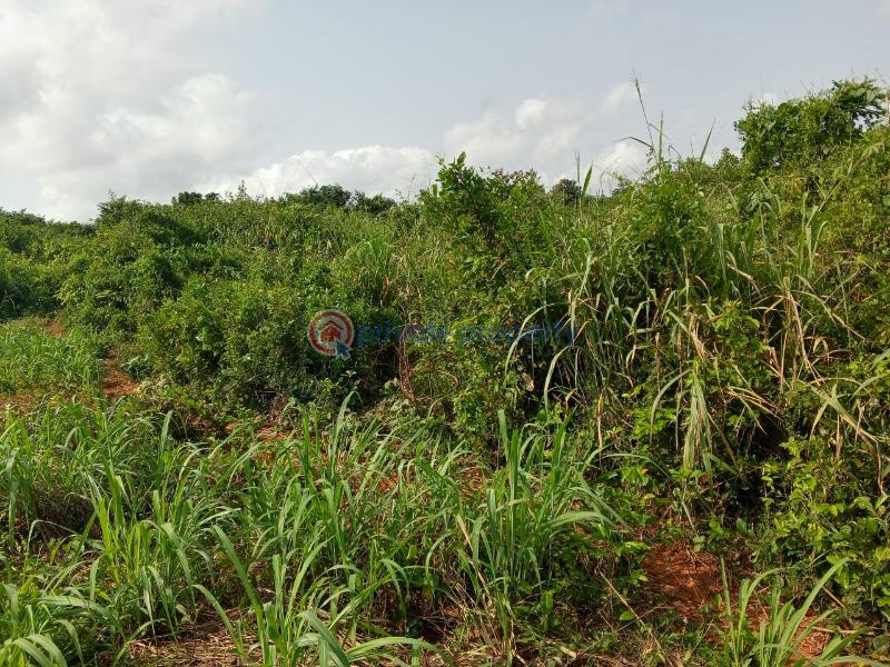 Land For Sale Between Winneba And Apam Effutu Municipal Central Region - 2