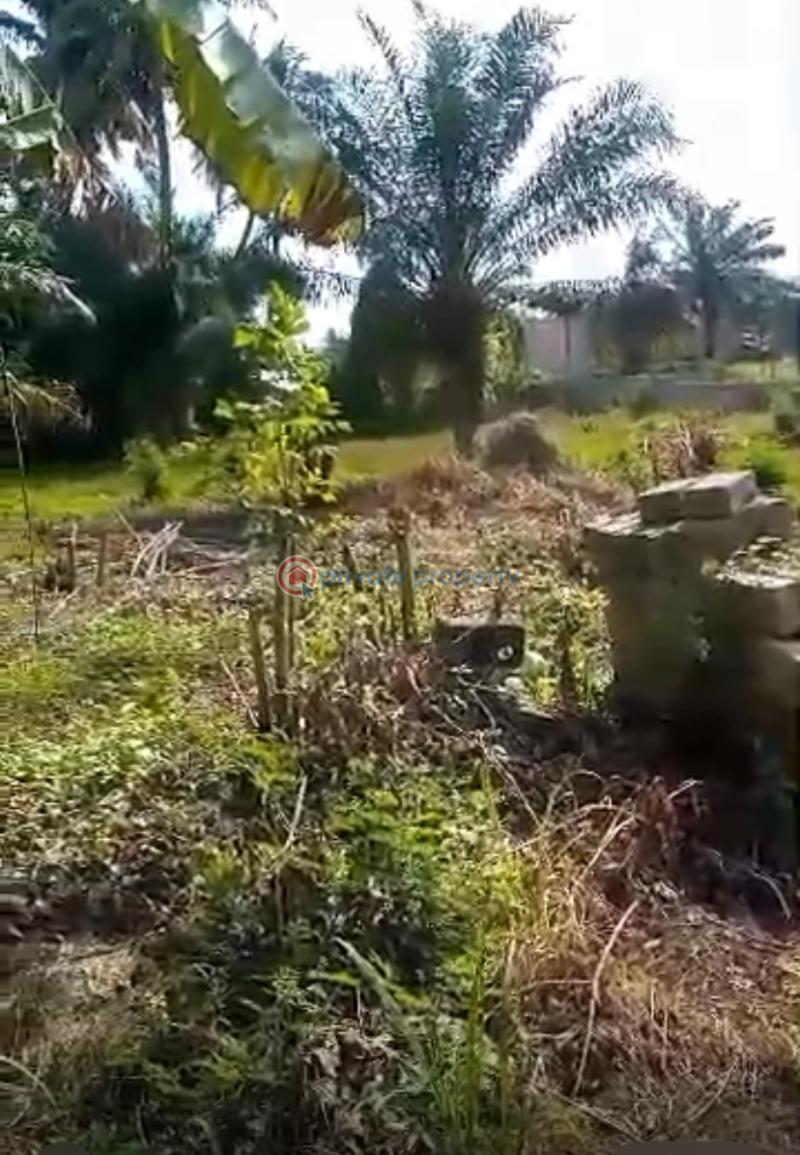 Land For Sale Pantang Accra Accra Metropolitan  - 1