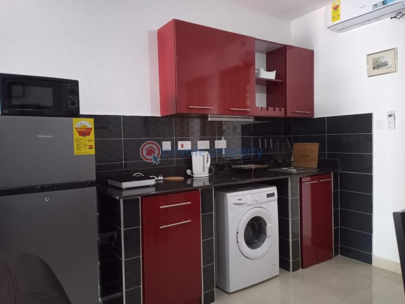 1 bedroom Apartment Short let Guava Link Road Comm 18 Spintex Accra - 5