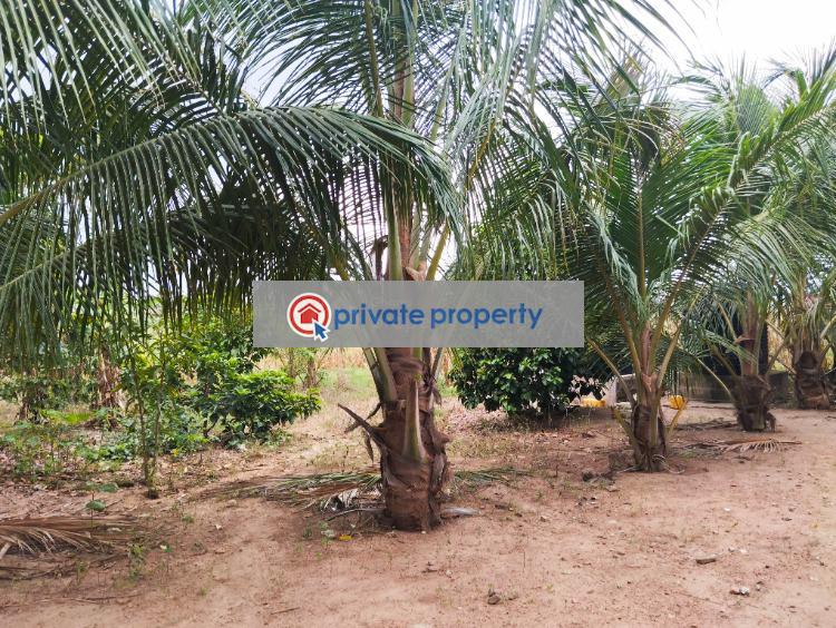 Commercial Land For Sale &nbsp;amasaman Ga West Municipal Accra - 5