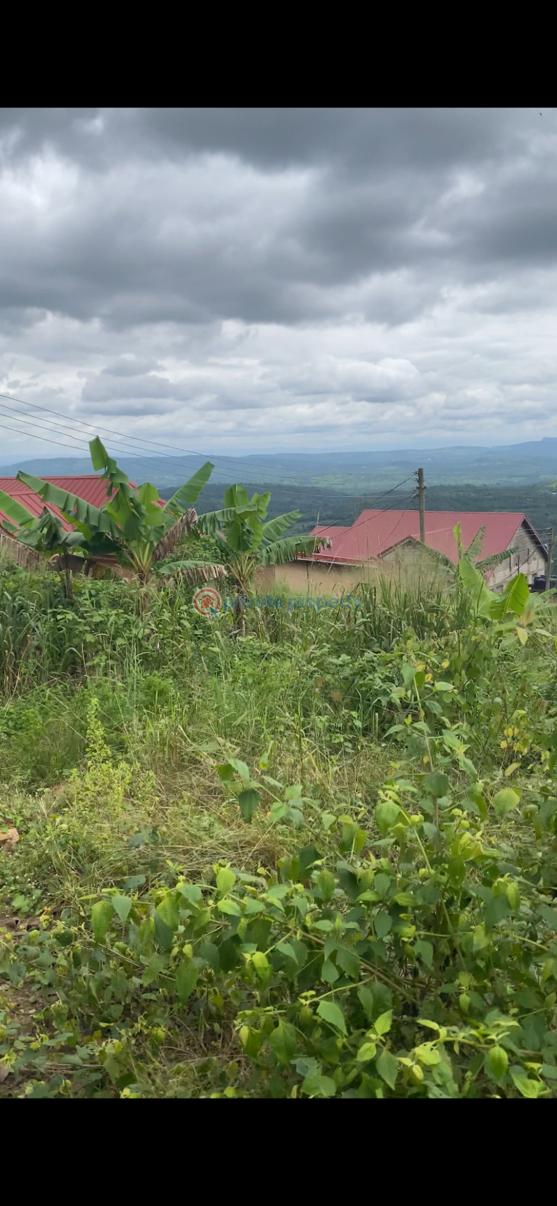 Land For Sale Safari Valley Eco Park Adukrom Akuapim North Eastern Region - 2