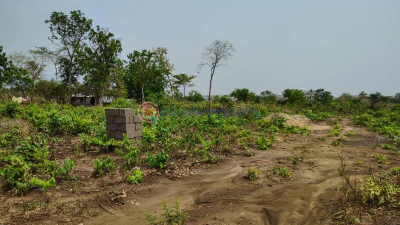 Land For Sale Near Uhas Ho Ho Municipal Volta Region - 1