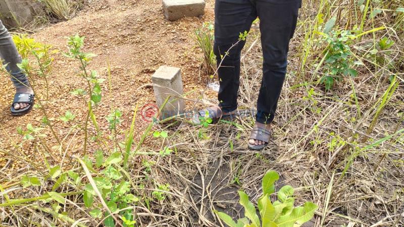 Land For Sale Near Uhas Ho Ho Municipal Volta Region - 2