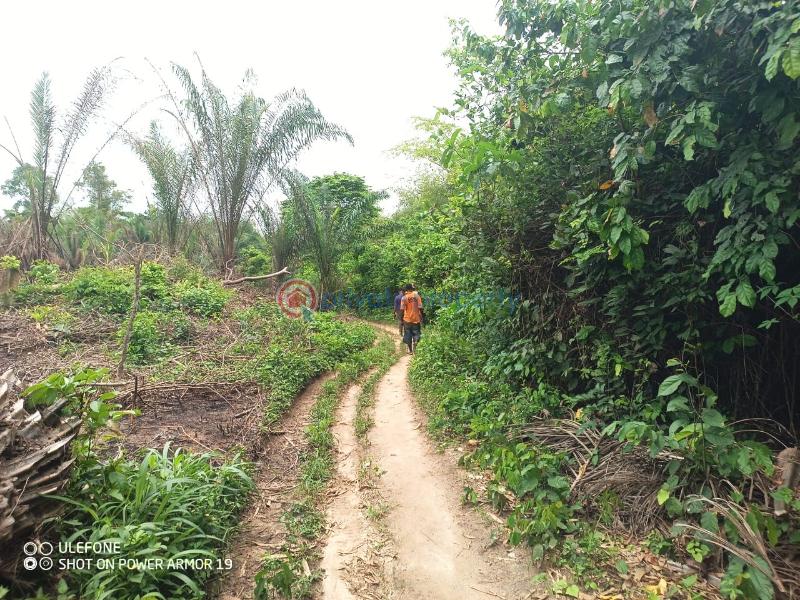 Land For Sale Apam Ekumfi District Gomoa West Central Region - 0