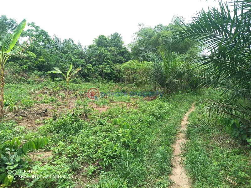 Land For Sale Apam Ekumfi District Gomoa West Central Region - 2