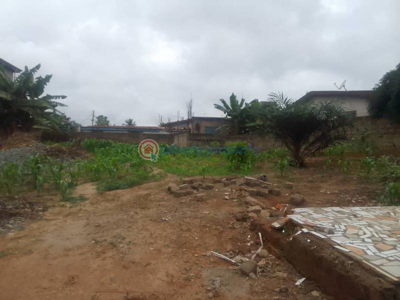 Land For Sale Chantan Achimota Accra - 1