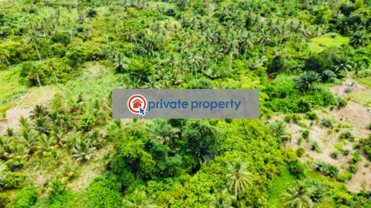 Mixed use Land For Sale &nbsp;bawjiase Awutu-Senya West Central Region - 4