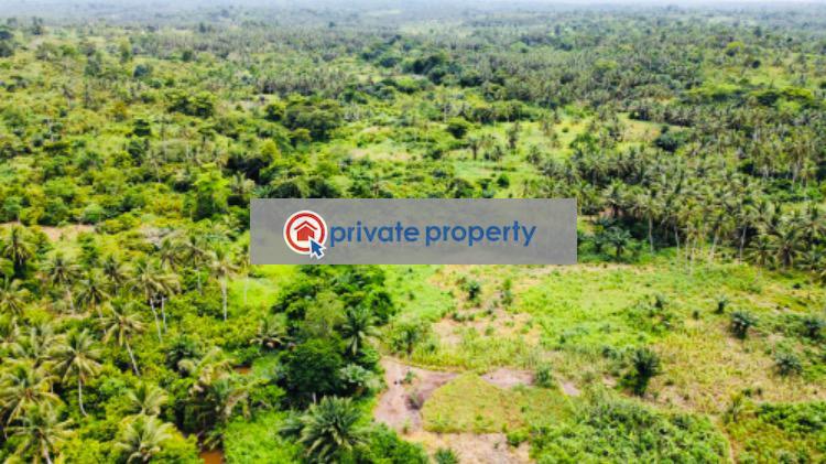 Mixed use Land For Sale &nbsp;bawjiase Awutu-Senya West Central Region - 6