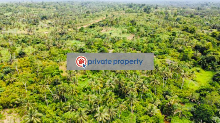 Mixed use Land For Sale &nbsp;bawjiase Awutu-Senya West Central Region - 8