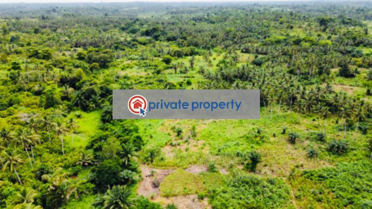 Mixed use Land For Sale &nbsp;bawjiase Awutu-Senya West Central Region - 11