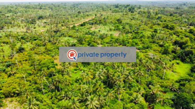 Mixed use Land For Sale &nbsp;bawjiase Awutu-Senya West Central Region - 12