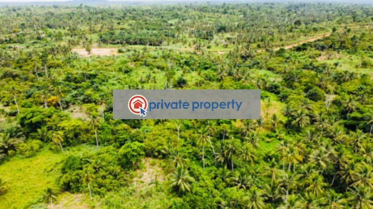 Mixed use Land For Sale &nbsp;bawjiase Awutu-Senya West Central Region - 7
