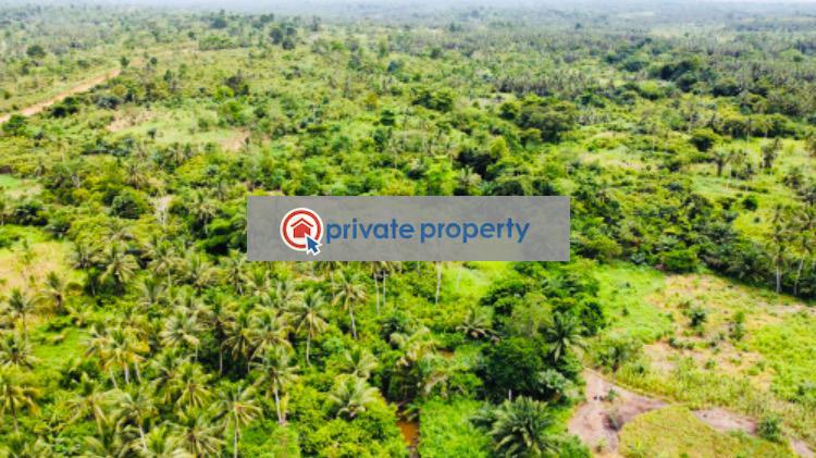 Mixed use Land For Sale &nbsp;bawjiase Awutu-Senya West Central Region - 9