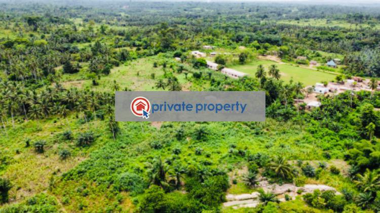 Mixed use Land For Sale &nbsp;bawjiase Awutu-Senya West Central Region - 10