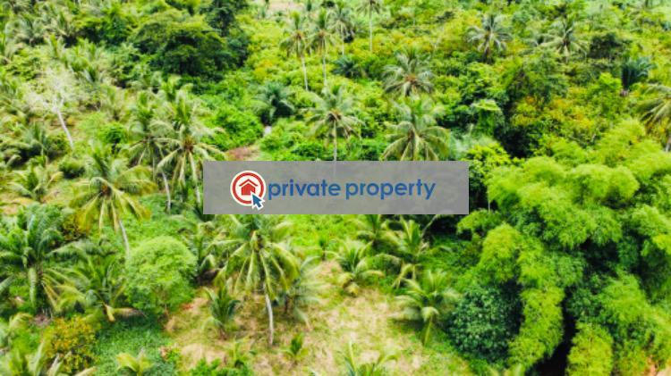 Mixed use Land For Sale &nbsp;bawjiase Awutu-Senya West Central Region - 19