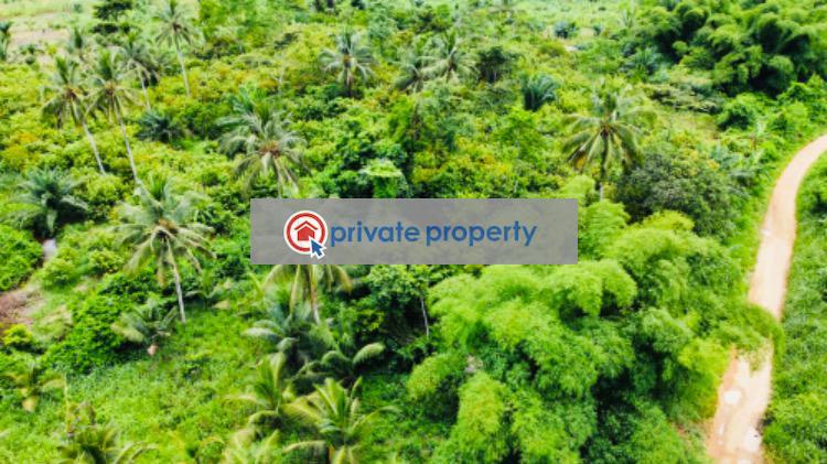 Mixed use Land For Sale &nbsp;bawjiase Awutu-Senya West Central Region - 20
