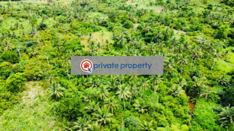 Mixed use Land For Sale &nbsp;bawjiase Awutu-Senya West Central Region - 3