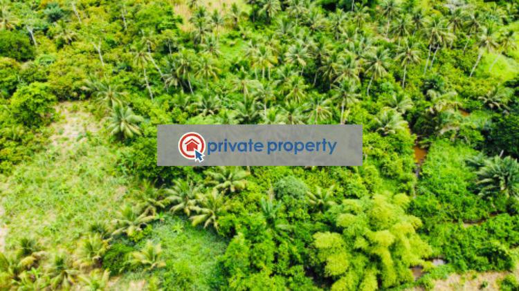 Mixed use Land For Sale &nbsp;bawjiase Awutu-Senya West Central Region - 2