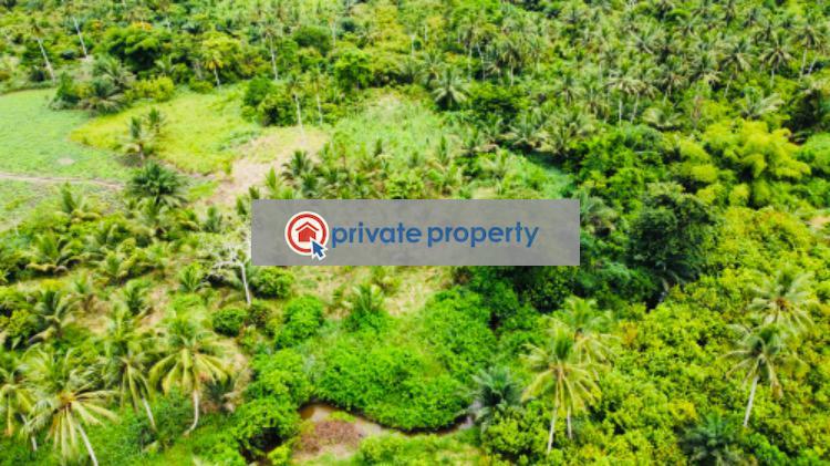 Mixed use Land For Sale &nbsp;bawjiase Awutu-Senya West Central Region - 17