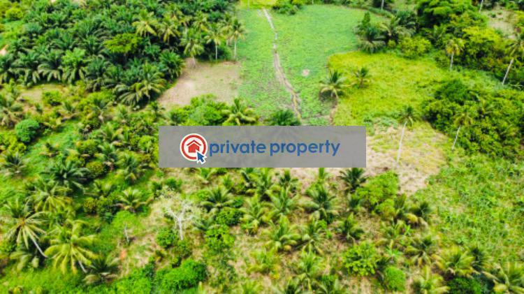 Mixed use Land For Sale &nbsp;bawjiase Awutu-Senya West Central Region - 5