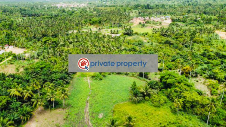 Mixed use Land For Sale &nbsp;bawjiase Awutu-Senya West Central Region - 13