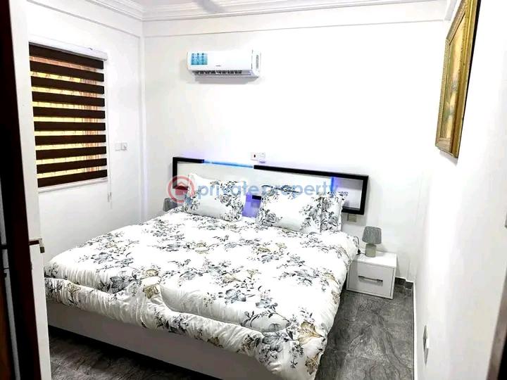 1 bedroom Apartment Short let Spintex Accra - 3