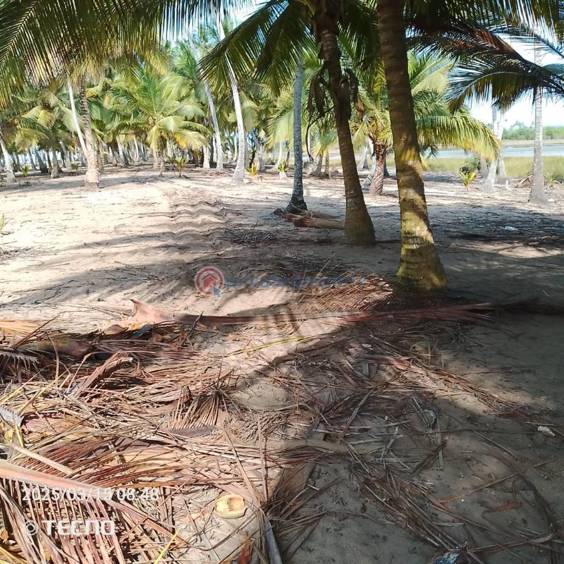 Land For Sale Ekumfi Akra Mfantsiman Municipal Central Region - 8