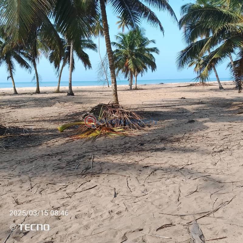 Land For Sale Ekumfi Akra Mfantsiman Municipal Central Region - 10