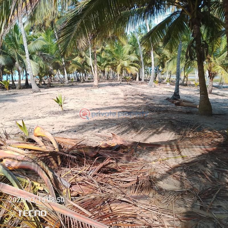 Land For Sale Ekumfi Akra Mfantsiman Municipal Central Region - 7