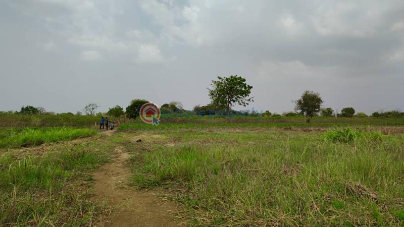 Mixed use Land For Sale Afadjato South Volta Region - 6