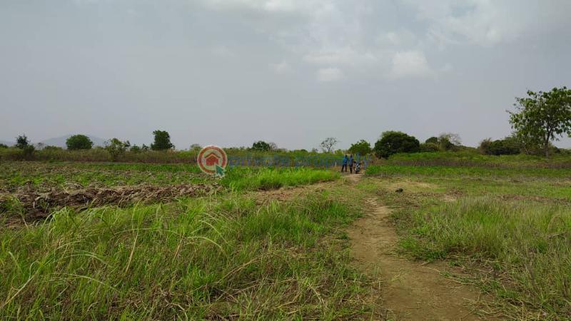 Mixed use Land For Sale Afadjato South Volta Region - 1