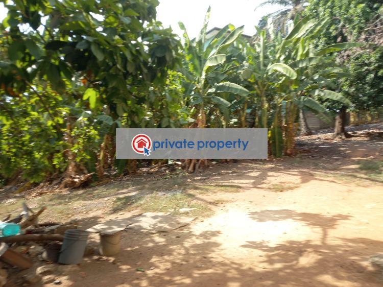 Land For Sale &nbsp;stadium/ Asokwa Kumasi Metropolitan Ashanti - 2
