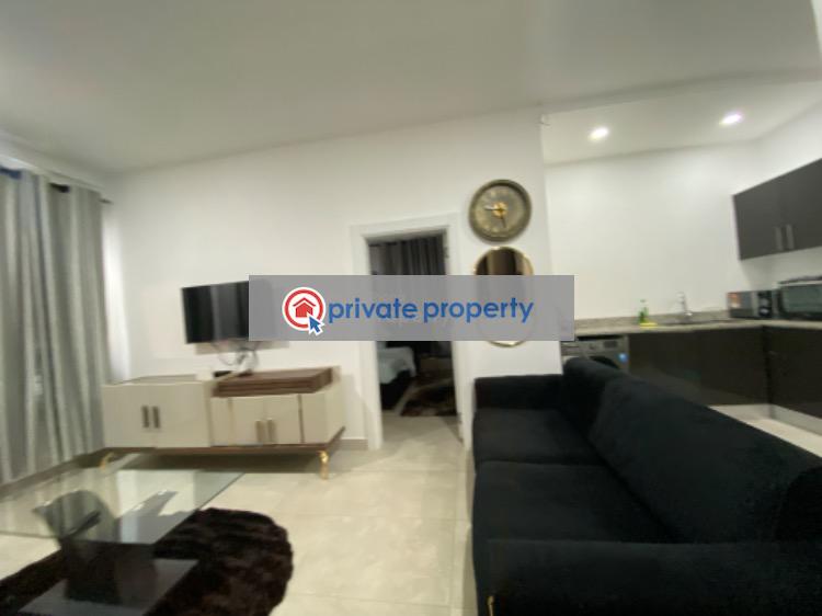 1 bedroom Mini Flat For Sale &nbsp;east Cantonments Cantonments Accra - 2