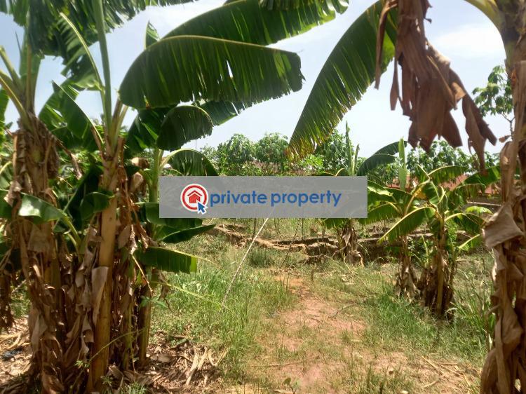 Land For Sale &nbsp;abuakwa Koforidua Kumasi Metropolitan Ashanti - 3