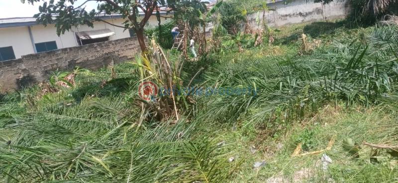 Land For Sale Papaye Down Osu Accra - 1