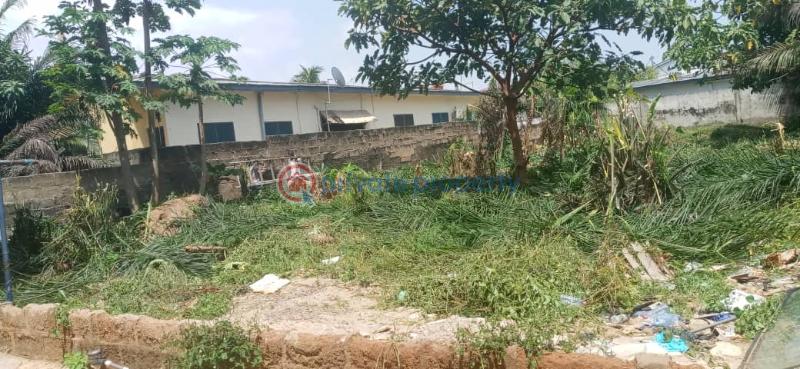 Land For Sale Papaye Down Osu Accra - 2