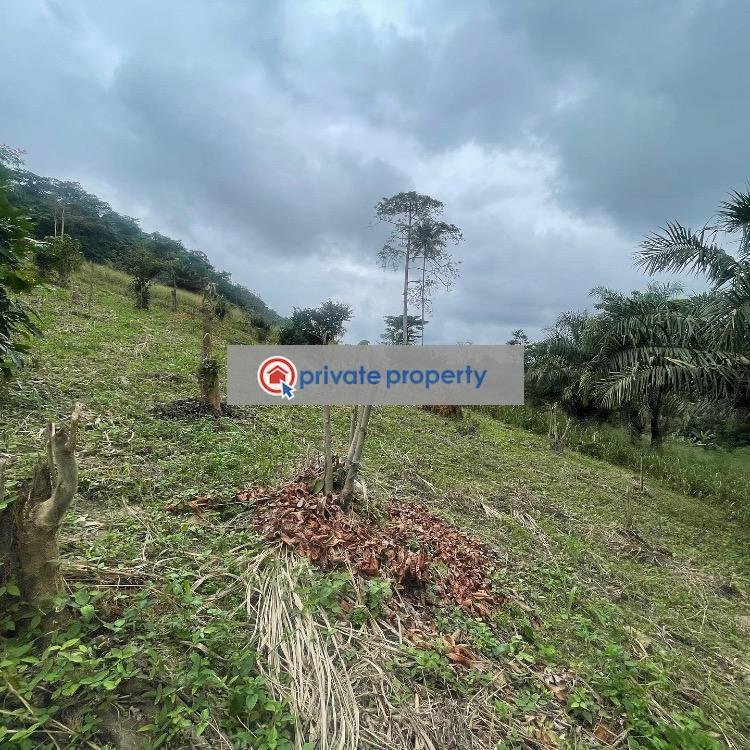 Mixed use Land For Sale aburi Girl Aburi Akuapim South Municipal