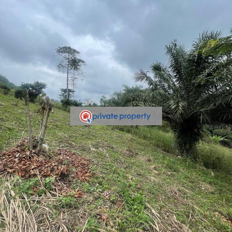 Mixed use Land For Sale aburi Girl Aburi Akuapim South Municipal