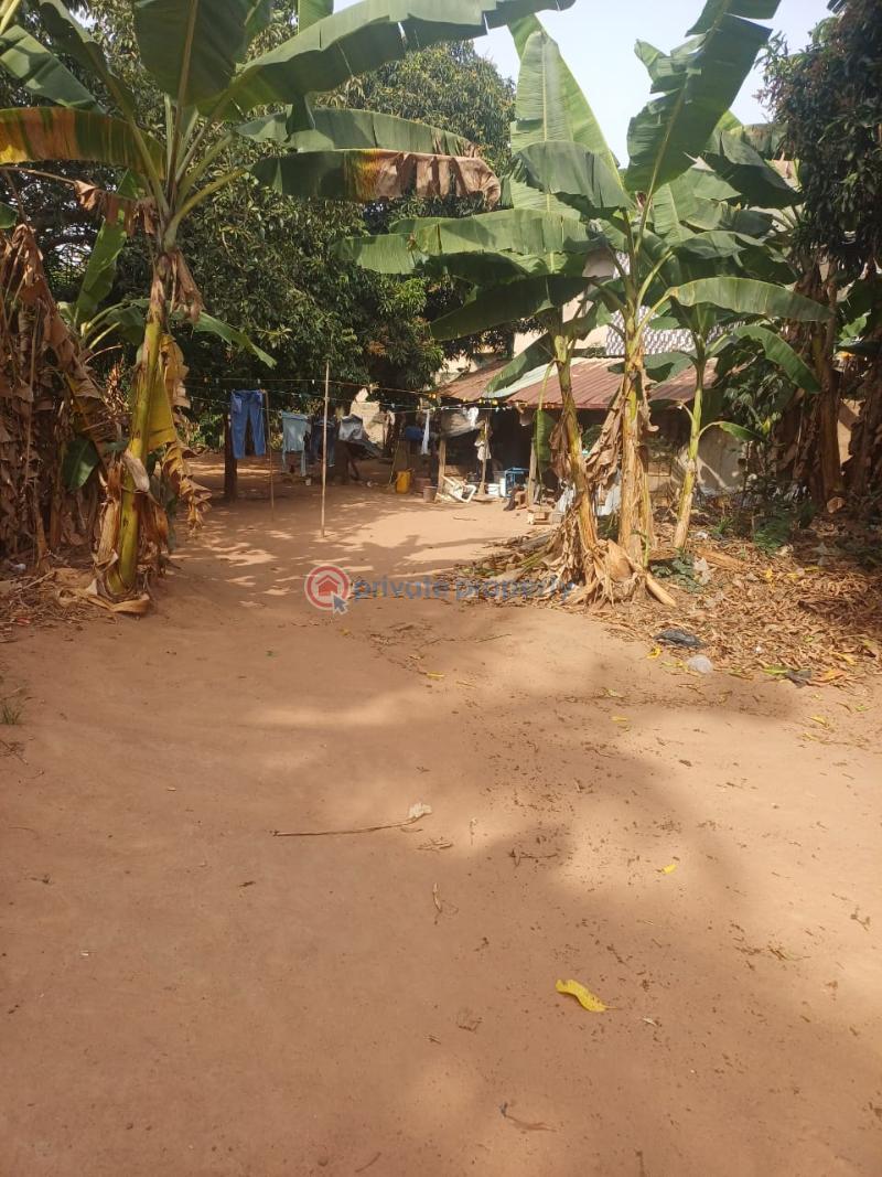 Land For Sale Ga North Council Ofankor Accra - 4