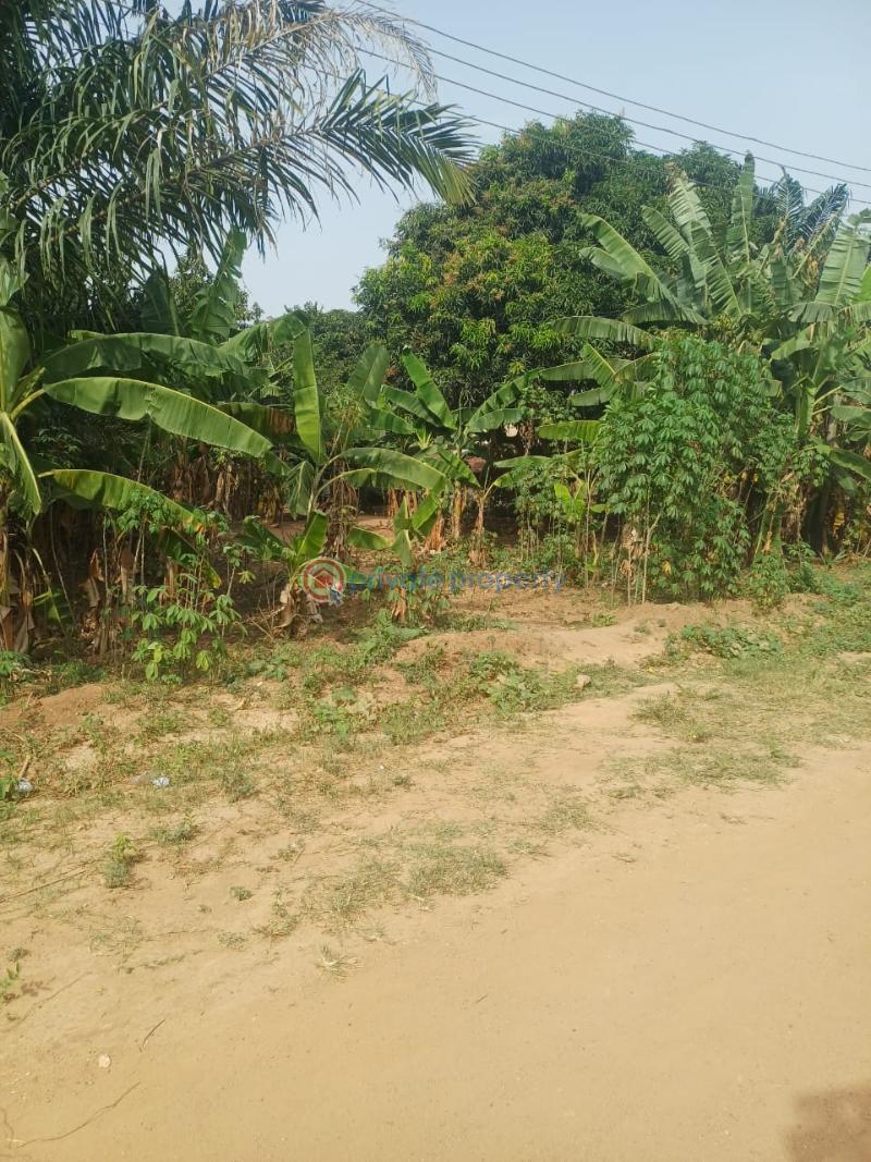 Land For Sale Ga North Council Ofankor Accra - 5