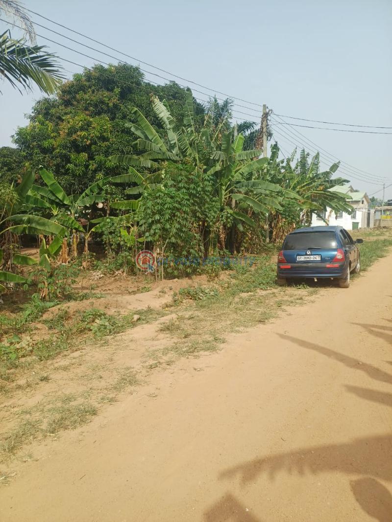Land For Sale Ga North Council Ofankor Accra - 3