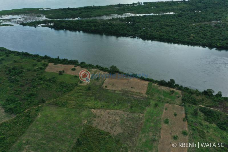 Land For Sale Sogakope Nkwanta South Volta Region - 3